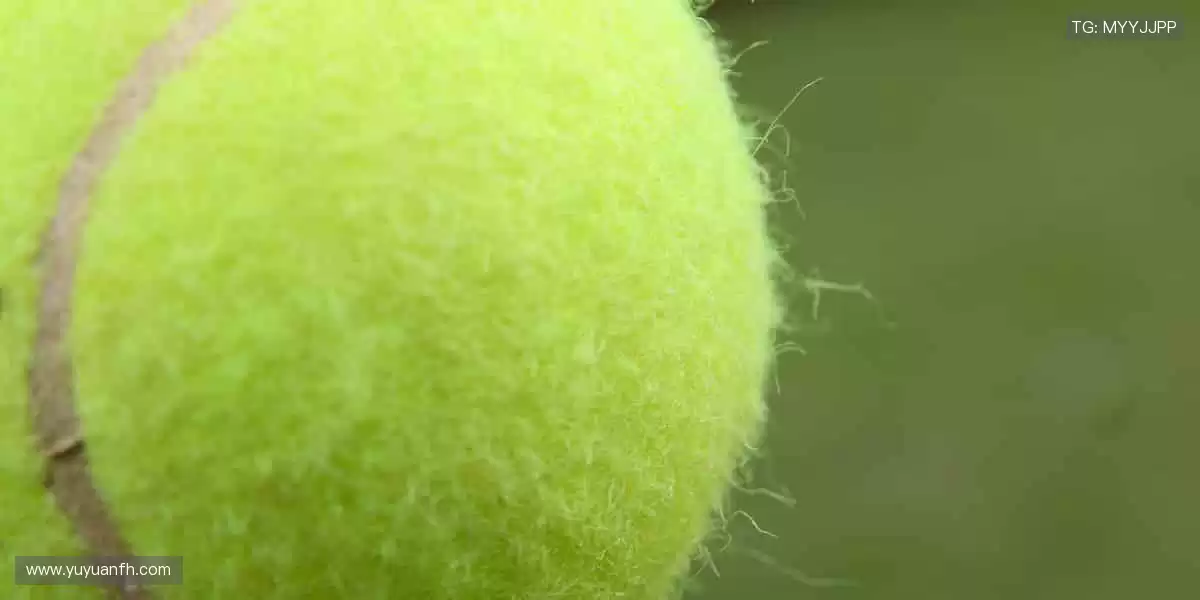 👕限量潮品,实力见证!用细节诠释你对体育的极致追求!